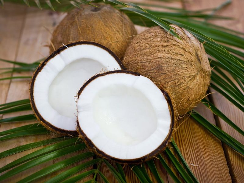 coconut